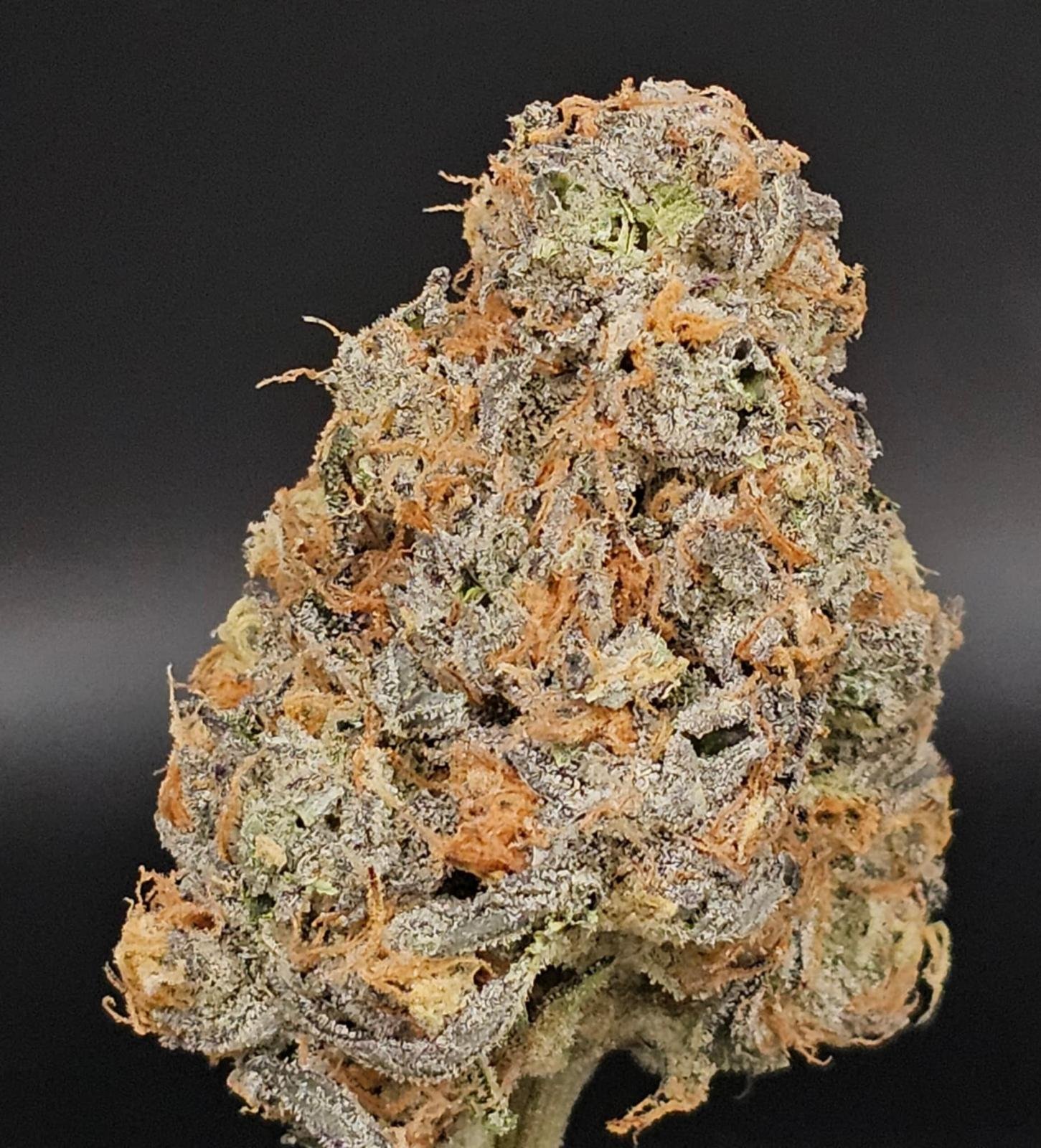 Bud Image 3